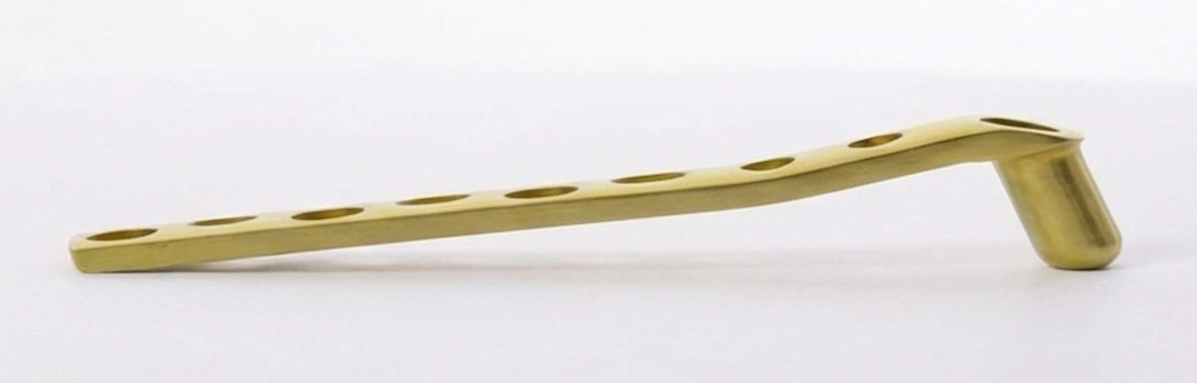 Sunlight shining through tall pine trees in a dense forest