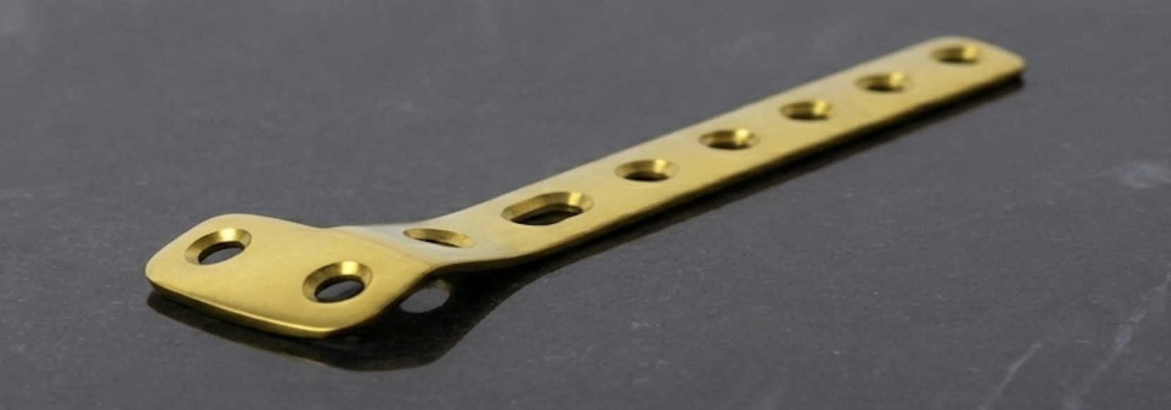 Sunlight shining through tall pine trees in a dense forest