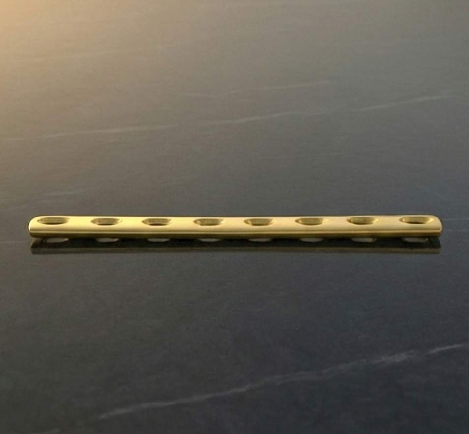 Sunlight shining through tall pine trees in a dense forest