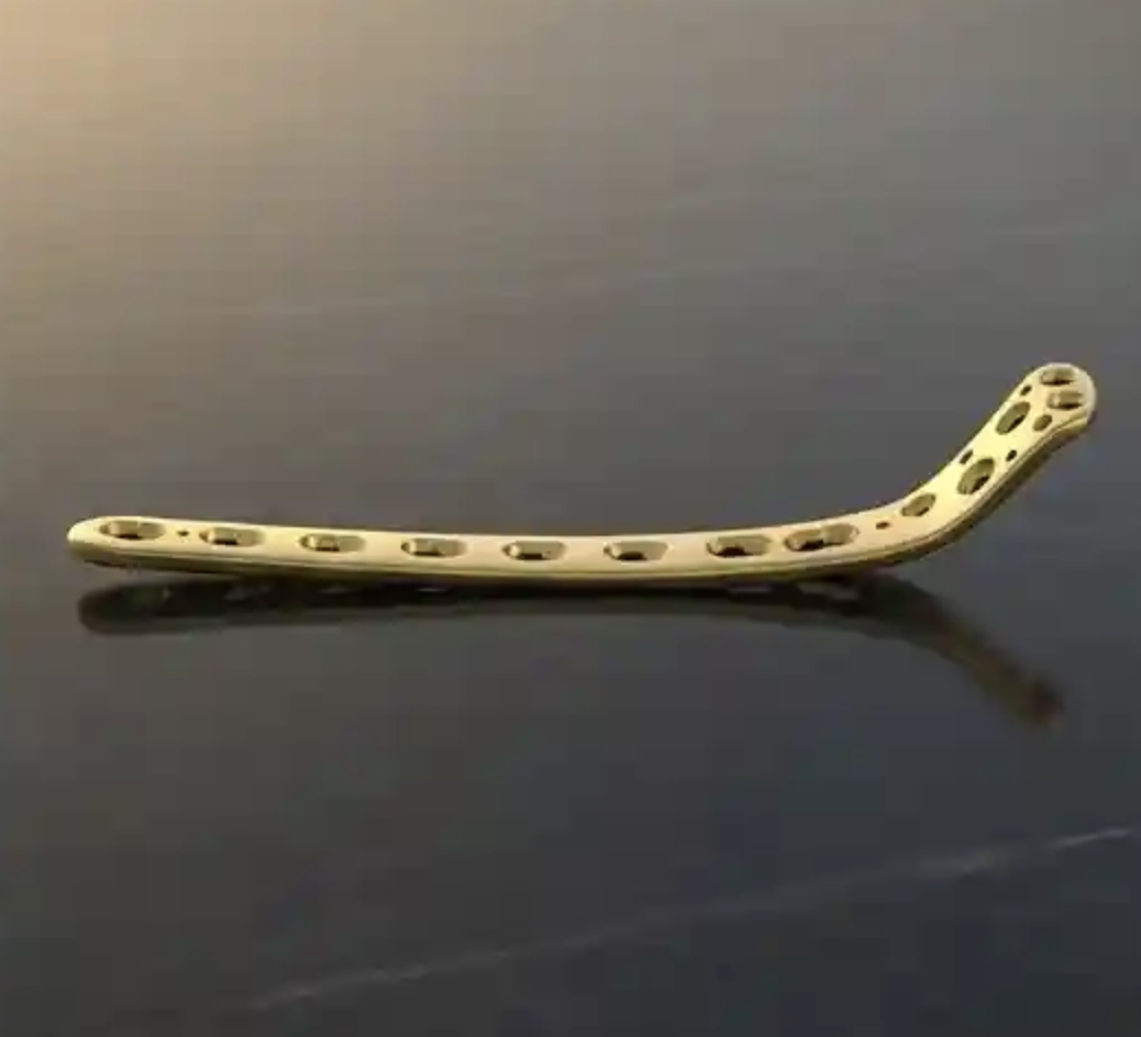 Sunlight shining through tall pine trees in a dense forest