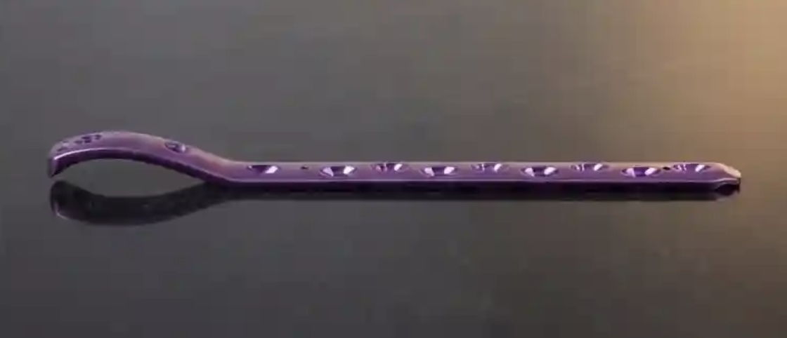 Sunlight shining through tall pine trees in a dense forest