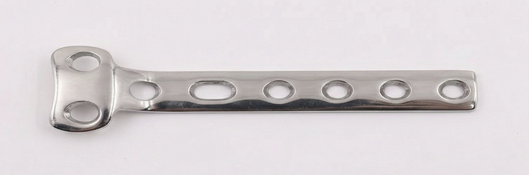 Sunlight shining through tall pine trees in a dense forest